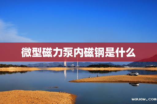 微型磁力泵内磁钢是什么