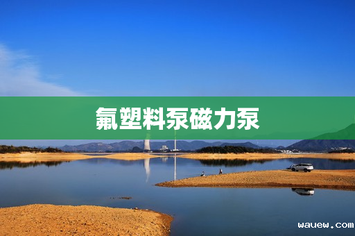 氟塑料泵磁力泵