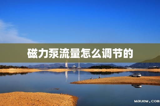 磁力泵流量怎么调节的