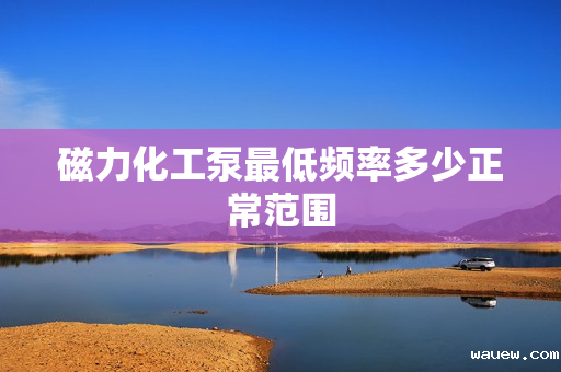 磁力化工泵最低频率多少正常范围