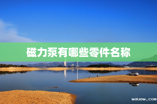 磁力泵有哪些零件名称