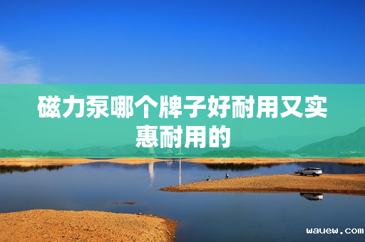 磁力泵哪个牌子好耐用又实惠耐用的