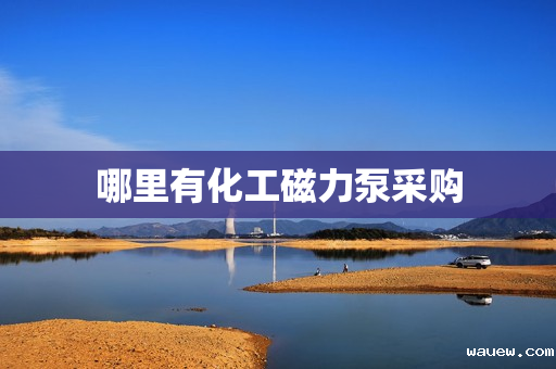 哪里有化工磁力泵采购