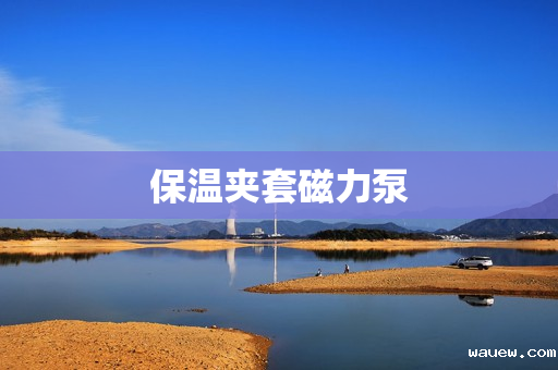 保温夹套磁力泵