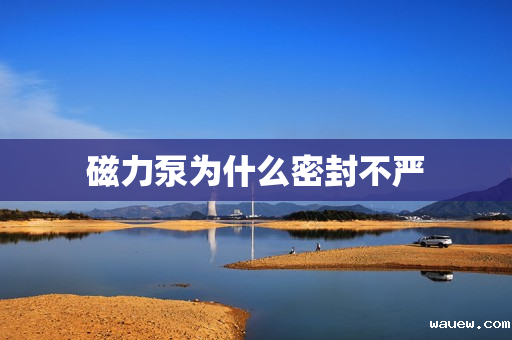 磁力泵为什么密封不严