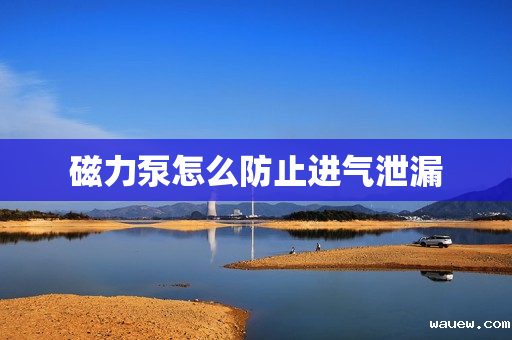 磁力泵怎么防止进气泄漏