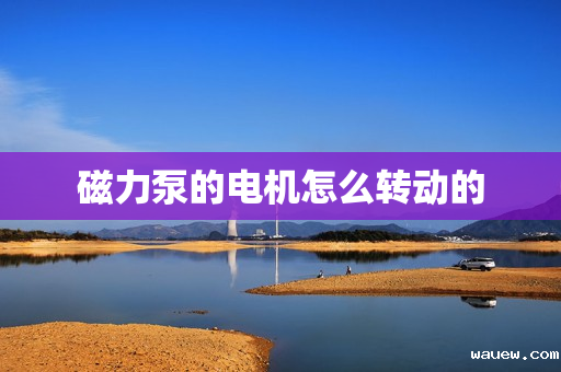 磁力泵的电机怎么转动的