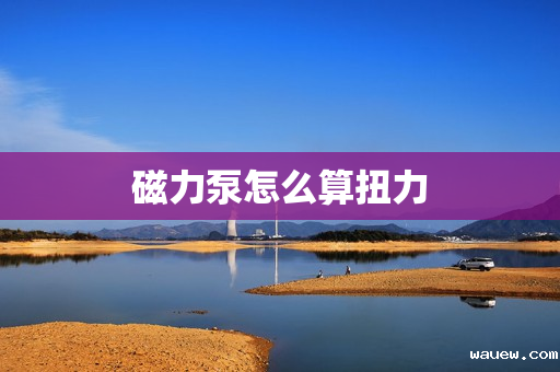 磁力泵怎么算扭力