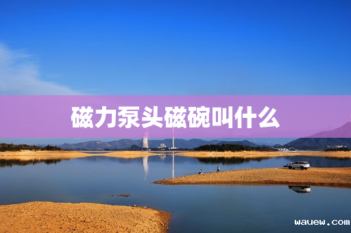 磁力泵头磁碗叫什么