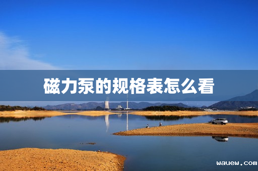 磁力泵的规格表怎么看