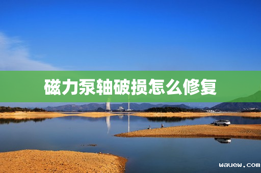 磁力泵轴破损怎么修复