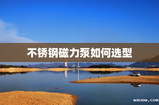 不锈钢磁力泵如何选型