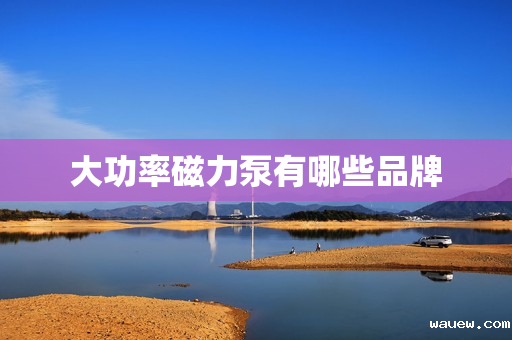 大功率磁力泵有哪些品牌