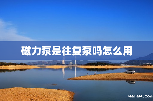 磁力泵是往复泵吗怎么用