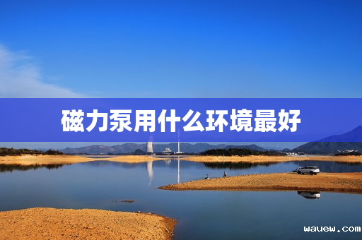 磁力泵用什么环境最好