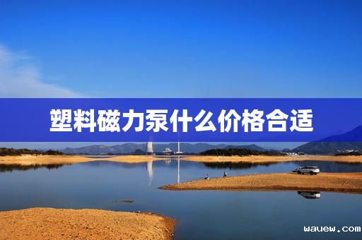 塑料磁力泵什么价格合适