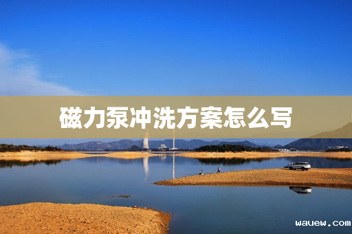 磁力泵冲洗方案怎么写