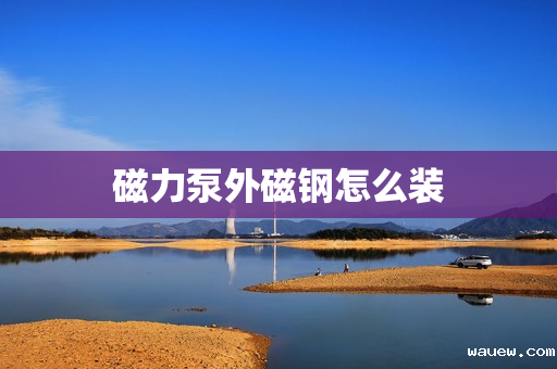 磁力泵外磁钢怎么装