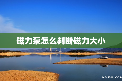 磁力泵怎么判断磁力大小