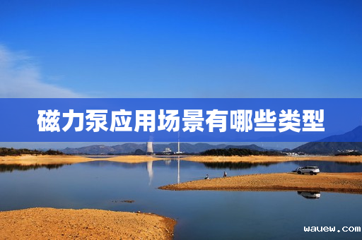 磁力泵应用场景有哪些类型