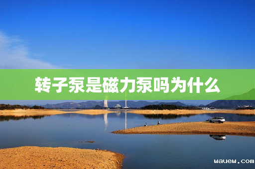 转子泵是磁力泵吗为什么