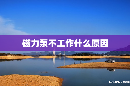 磁力泵不工作什么原因