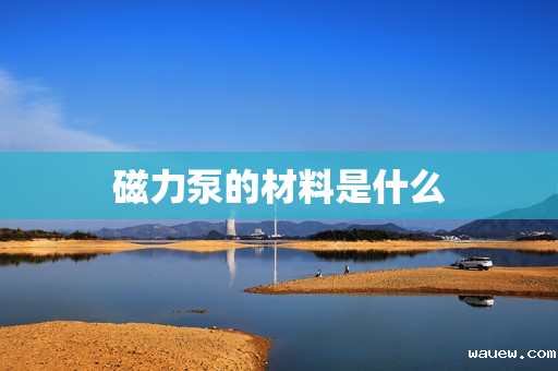 磁力泵的材料是什么