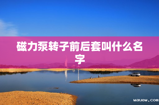 磁力泵转子前后套叫什么名字
