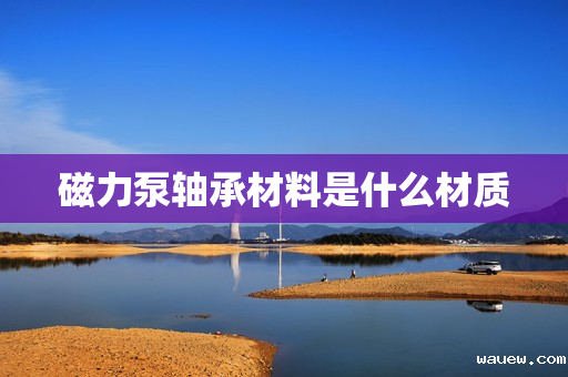 磁力泵轴承材料是什么材质