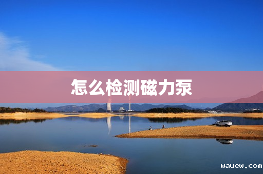 怎么检测磁力泵