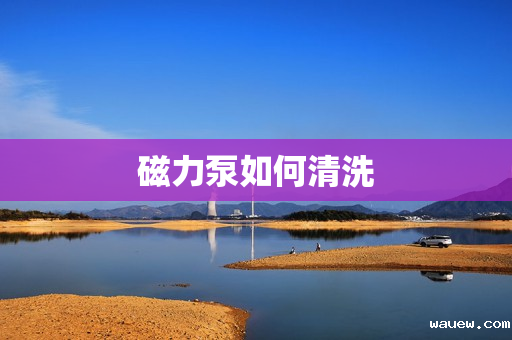 磁力泵如何清洗