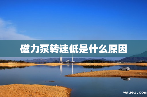磁力泵转速低是什么原因