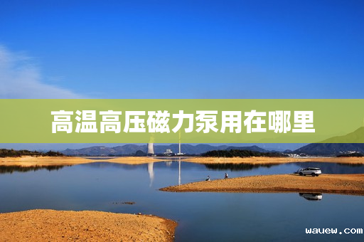 高温高压磁力泵用在哪里