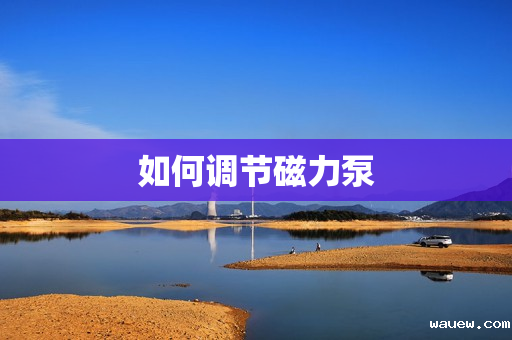 如何调节磁力泵