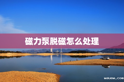 磁力泵脱磁怎么处理