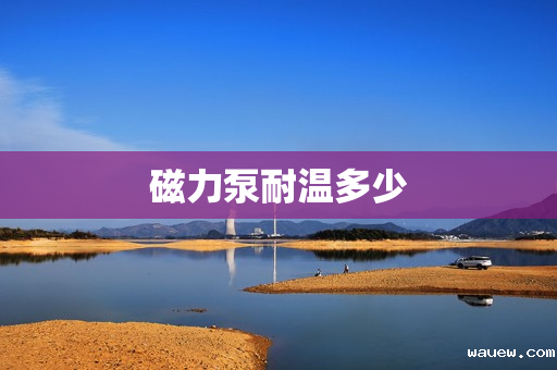 磁力泵耐温多少