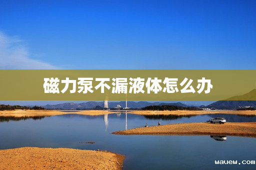 磁力泵不漏液体怎么办