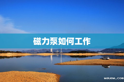 磁力泵如何工作