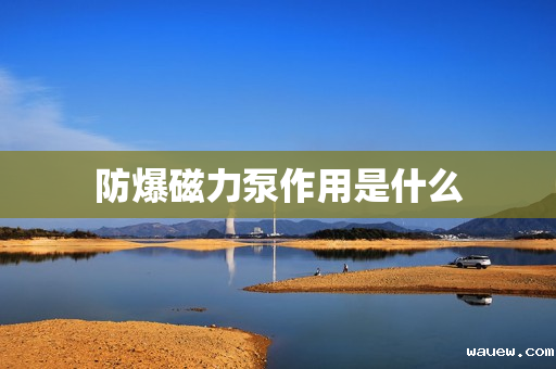 防爆磁力泵作用是什么