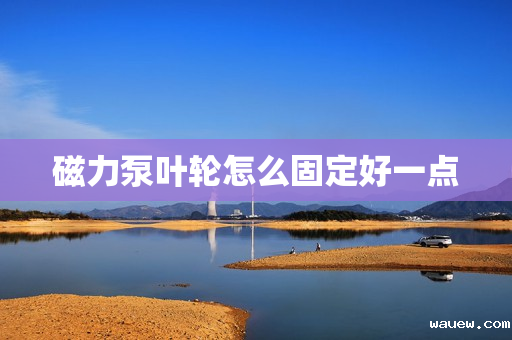 磁力泵叶轮怎么固定好一点