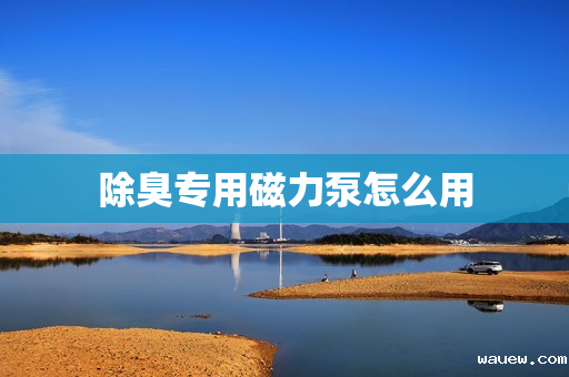 除臭专用磁力泵怎么用