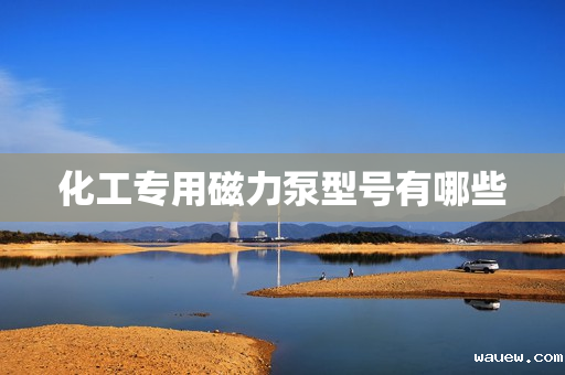 化工专用磁力泵型号有哪些