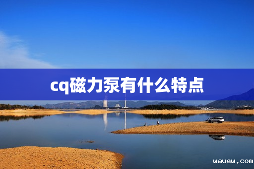 cq磁力泵有什么特点