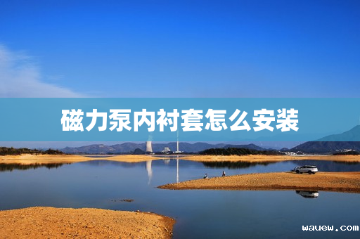 磁力泵内衬套怎么安装