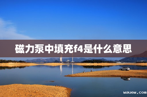 磁力泵中填充f4是什么意思