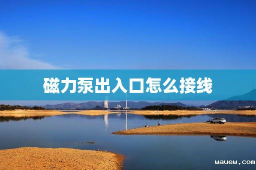 磁力泵出入口怎么接线