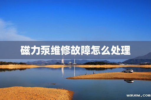 磁力泵维修故障怎么处理