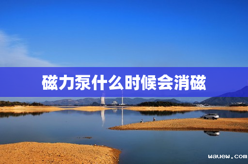 磁力泵什么时候会消磁