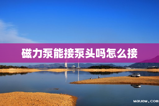 磁力泵能接泵头吗怎么接