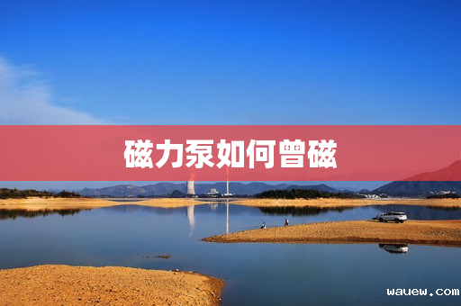 磁力泵如何曾磁